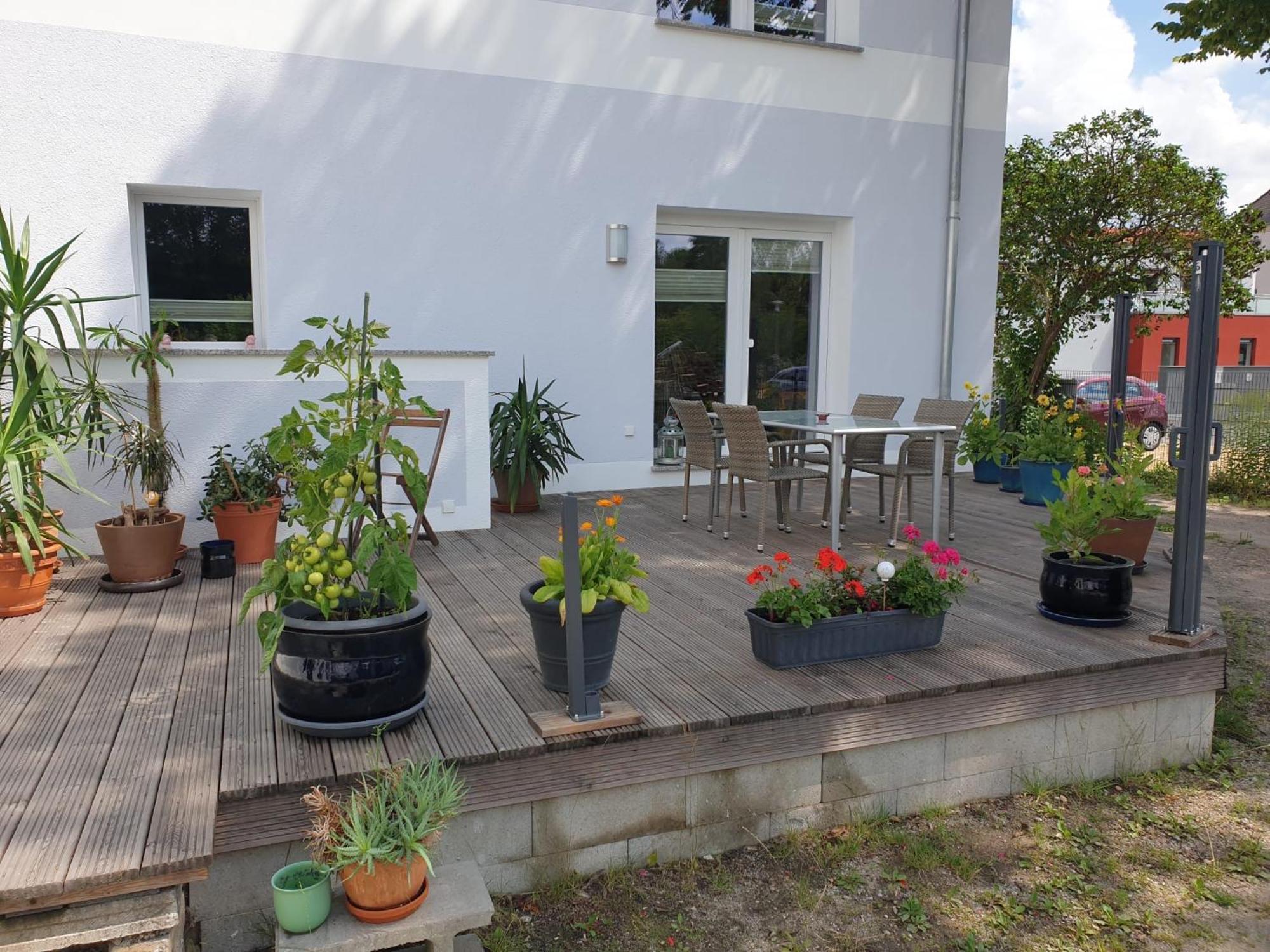 Zur Flatter-ulme